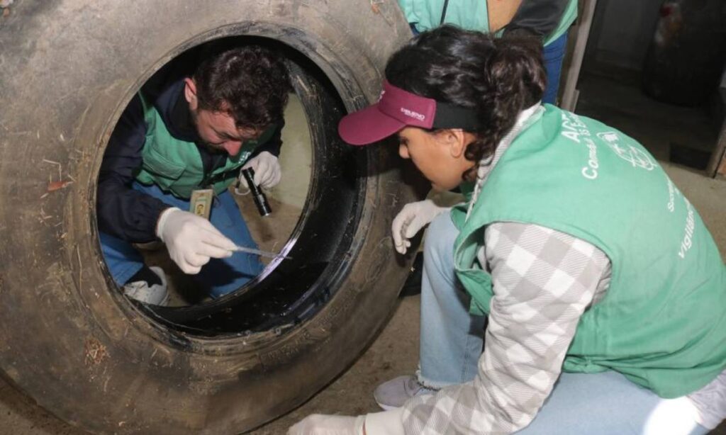 Santos reforça combate ao Aedes aegypti com mutirão e vacinação